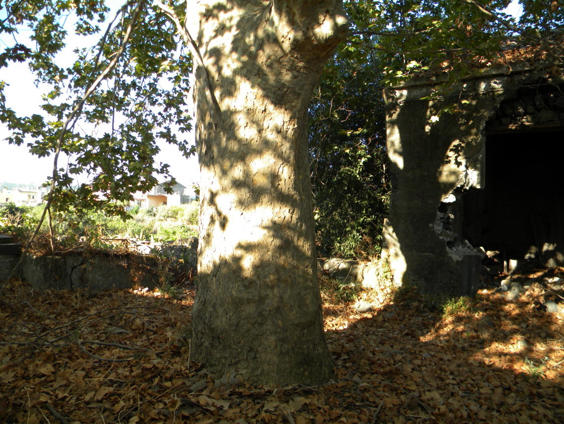 DSCN8040 .JPG